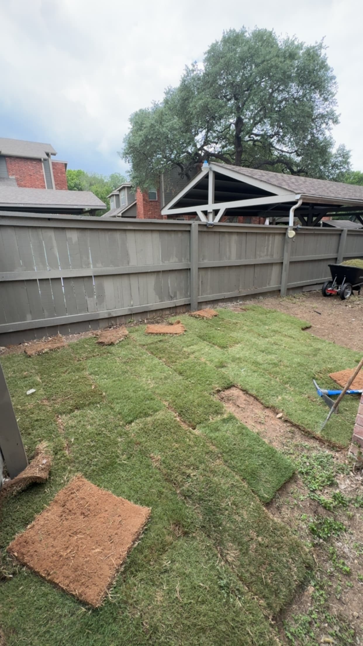 New green sod patches being laid in a backyard next to a grey wooden fence.